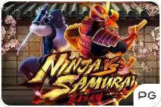 Ninja Samurai