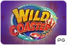 Wild Coaster